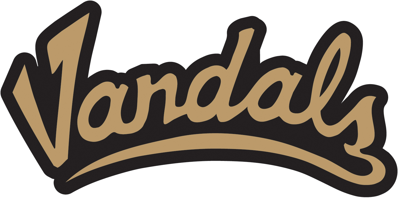 Idaho Vandals 2004-Pres Wordmark Logo v2 diy DTF decal sticker